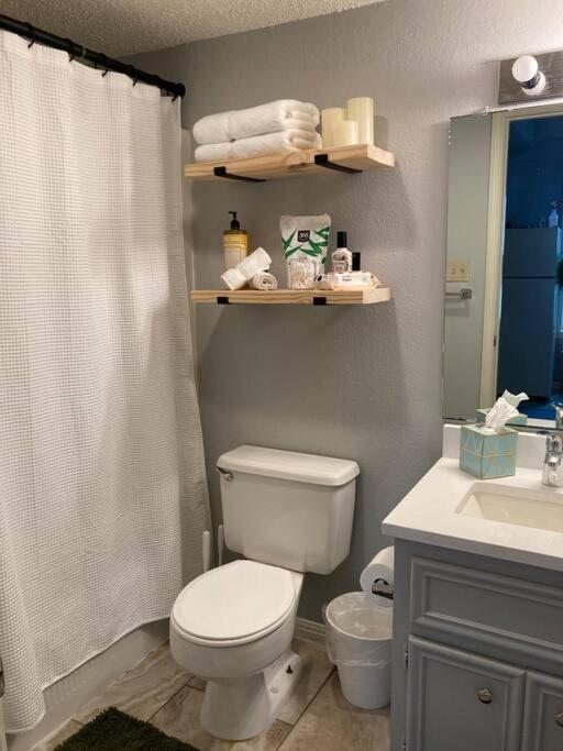 Luxury Greenhouse Studio Apartment Austin Exterior foto